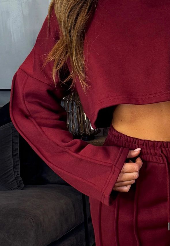 Tracksuit Joggers And Crop Sweatshirt With Seam Detail Burgundy