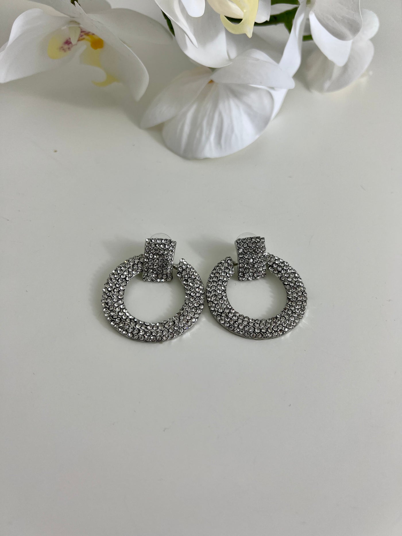 O ring diamond silver earring